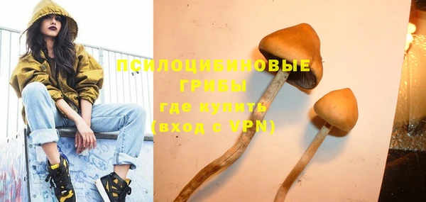spice Армянск