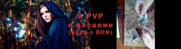 эйфоретик Аркадак