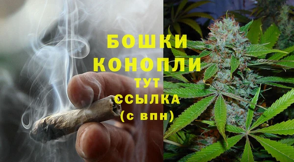 эйфоретик Аркадак